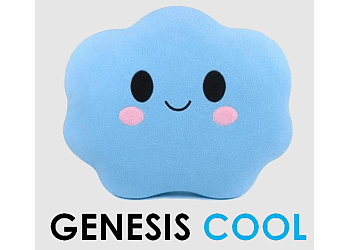 Genesis Cool Aircon services