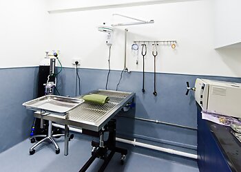 Yishun Veterinary Clinics Genesis Veterinary Clinic image 3 Yishun Veterinary Clinics Genesis Veterinary Clinic image 3