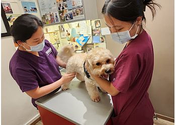 Queenstown Veterinary Clinics Gentle Oak Veterinary Clinic image 2 Queenstown Veterinary Clinics Gentle Oak Veterinary Clinic image 2