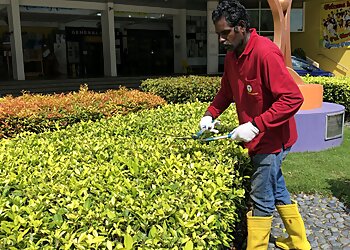 Golden Landscape And Construction Pte Ltd. image Golden Landscape And Construction Pte Ltd.