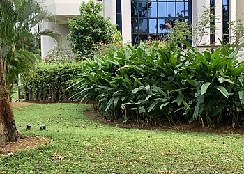 Kallang Landscaping Companies Goodview Gardening & Landscape Construction image 2 Kallang Landscaping Companies Goodview Gardening & Landscape Construction image 2