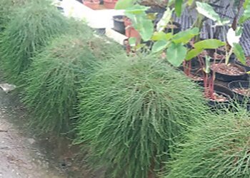 Greendot Creations Pte Ltd photo Greendot Creations Pte Ltd