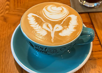 Orchard Road Cafes H&C Cafe image 1 Orchard Road Cafes H&C Cafe image 1