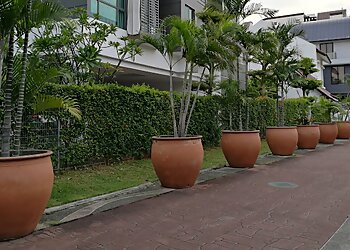 Marine Parade Tourist Attractions Haig Walk image 3 Marine Parade Tourist Attractions Haig Walk image 3