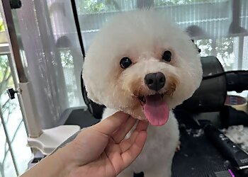 Sengkang Pet Services Happypaws image 2 Sengkang Pet Services Happypaws image 2