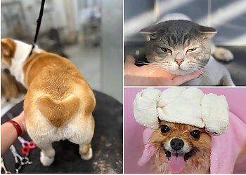 Sengkang Pet Services Happypaws image 3 Sengkang Pet Services Happypaws image 3