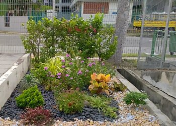 Hash Tree Care image Hash Tree Care