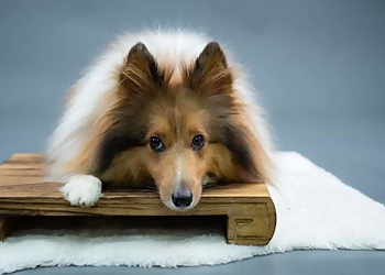 Kallang Photographers Highlights Studioworks image 2 Kallang Photographers Highlights Studioworks image 2