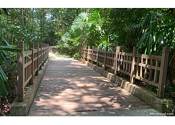 Bukit Panjang Tourist Attractions Hindhede Nature Park image 2 Bukit Panjang Tourist Attractions Hindhede Nature Park image 2