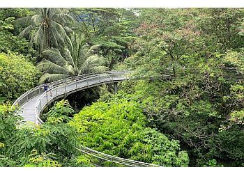 Queenstown Public Parks HortPark image 2 Queenstown Public Parks HortPark image 2