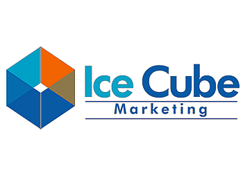Ice Cube Marketing 