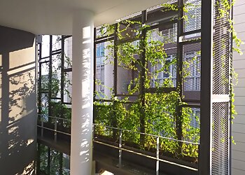 Punggol Landscaping Companies Ideal Flora & Landscape image 3 Punggol Landscaping Companies Ideal Flora & Landscape image 3