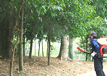 Macpherson Pest Control Companies Ikari Services Pte Ltd. image 3 Macpherson Pest Control Companies Ikari Services Pte Ltd. image 3