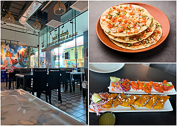 Little India Thai Restaurants Indo Thai Bar & Restaurant image 3 Little India Thai Restaurants Indo Thai Bar & Restaurant image 3