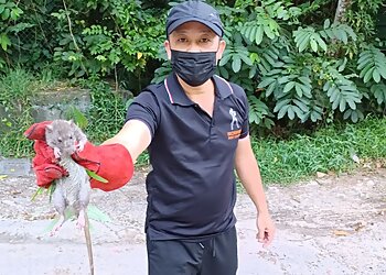 Kallang Pest Control Companies Ironman Pest Control Pte. Ltd. image 3 Kallang Pest Control Companies Ironman Pest Control Pte. Ltd. image 3