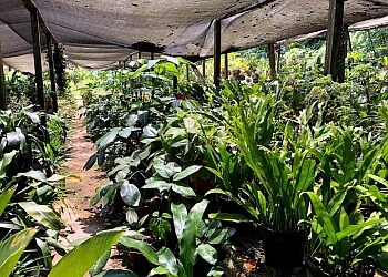 Bedok Landscaping Companies Joaquim Garden & Landscape Pte Ltd image 2 Bedok Landscaping Companies Joaquim Garden & Landscape Pte Ltd image 2