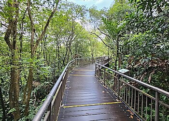 Queenstown Tourist Attractions Kent Ridge Park Pond image 2 Queenstown Tourist Attractions Kent Ridge Park Pond image 2