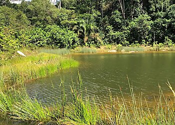 Queenstown Tourist Attractions Kent Ridge Park Pond image 3 Queenstown Tourist Attractions Kent Ridge Park Pond image 3