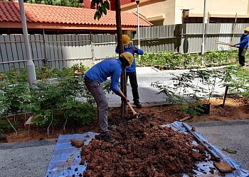 Geylang Landscaping Companies Khai Zhen Landscape Pte Ltd. image 2 Geylang Landscaping Companies Khai Zhen Landscape Pte Ltd. image 2