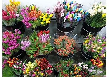 Kimberly's Florist image Kimberly's Florist