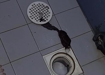 Bedok Plumbers Kudo Plumber image 3 Bedok Plumbers Kudo Plumber image 3