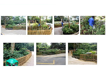 Choa Chu Kang Landscaping Companies Kumudra Landscape Services Pte Ltd image 3 Choa Chu Kang Landscaping Companies Kumudra Landscape Services Pte Ltd image 3