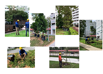 Kumudra Landscape Services Pte Ltd, Choa Chu Kang