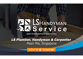 LS Plumber, Handyman Services