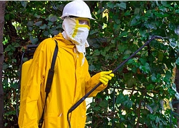 3 Best Pest Control Companies in Pasir Ris - Expert ...