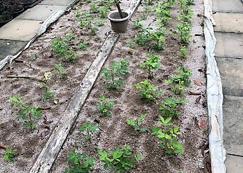 Sengkang Landscaping Companies Landscape Services Pte Ltd. image 2 Sengkang Landscaping Companies Landscape Services Pte Ltd. image 2