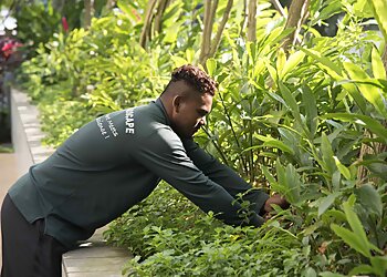 Yishun Landscaping Companies Lawrence Landscape & Construction Pte Ltd. image 3 Yishun Landscaping Companies Lawrence Landscape & Construction Pte Ltd. image 3