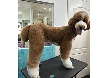 Le' Fur Pet Grooming Salon photo Le' Fur Pet Grooming Salon