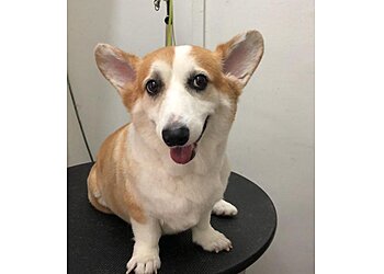 Le' Fur Pet Grooming Salon image Le' Fur Pet Grooming Salon