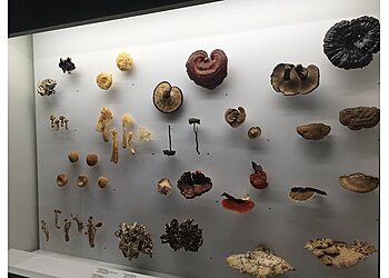 Buona Vista Tourist Attractions Lee Kong Chian Natural History Museum image 2 Buona Vista Tourist Attractions Lee Kong Chian Natural History Museum image 2