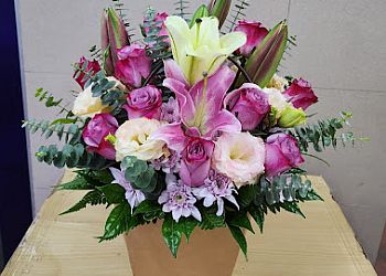 Outram Flowers And Gifts Shops Lily Florist & Gifts image 2 Outram Flowers And Gifts Shops Lily Florist & Gifts image 2
