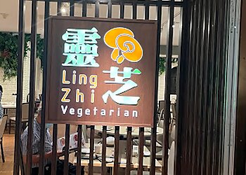 Orchard Road Vegetarian Restaurants LingZhi Vegetarian image 2 Orchard Road Vegetarian Restaurants LingZhi Vegetarian image 2