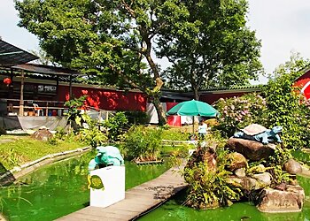 Live Turtle Museum Singapore photo Live Turtle Museum Singapore