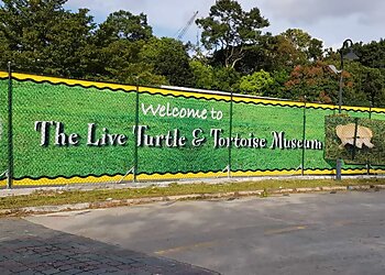 Yishun Tourist Attractions Live Turtle Museum Singapore image 1