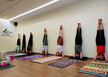 Living Yoga photo Living Yoga