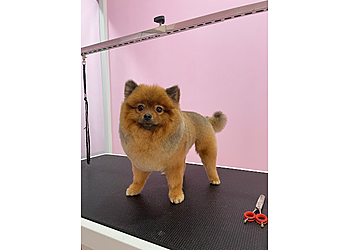 Jurong East Pet Services Love Paws image 3 Jurong East Pet Services Love Paws image 3