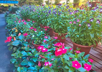 Punggol Landscaping Companies Lovely Landscape And Construction Pte. Ltd. image 2 Punggol Landscaping Companies Lovely Landscape And Construction Pte. Ltd. image 2