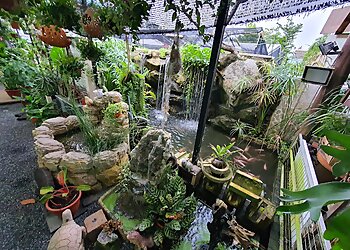 Punggol Landscaping Companies Lovely Landscape And Construction Pte. Ltd. image 3 Punggol Landscaping Companies Lovely Landscape And Construction Pte. Ltd. image 3