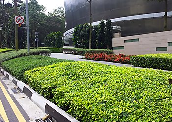 Marina Bay Landscaping Companies Lucky Garden Verticulture Pte Ltd image 2 Marina Bay Landscaping Companies Lucky Garden Verticulture Pte Ltd image 2
