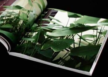 Markono Group Pte Ltd. photo Markono Group Pte Ltd.