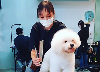 Geylang Pet Services Masmasgroomers Pet Grooming Centre Pte Ltd. image 2 Geylang Pet Services Masmasgroomers Pet Grooming Centre Pte Ltd. image 2