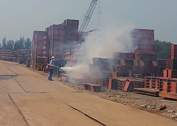 Little India Pest Control Companies Maximum Pest Management image 3 Little India Pest Control Companies Maximum Pest Management image 3