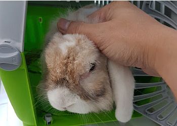 Bukit Merah Veterinary Clinics Monster Pet Vet image 2 Bukit Merah Veterinary Clinics Monster Pet Vet image 2