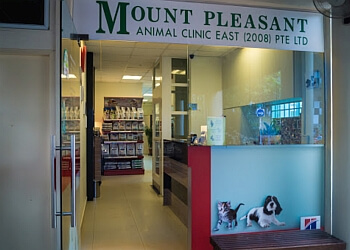 Veterinary Clinics In Marine Parade Expert Recommendations