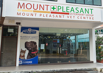 Veterinary Clinics In Ang Mo Kio Expert Recommendations