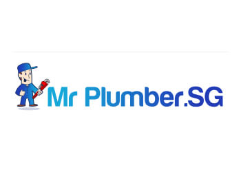 Mr Plumber.SG